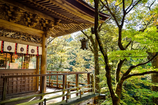 Beglaubigte Japanisch-Übersetzung