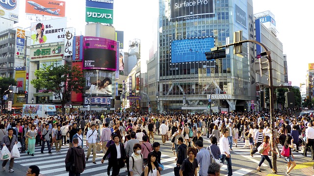 Übersetzung japanischer Dokumente