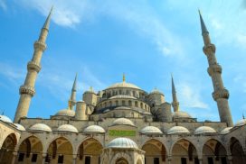 Suchen Sie Übersetzer für die türkische Sprache?